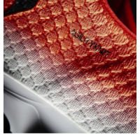 Doprovodný obrázek