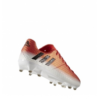 Doprovodný obrázek