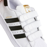 Doprovodný obrázek