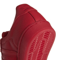 Doprovodný obrázek