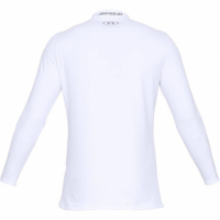 Doprovodný obrázek