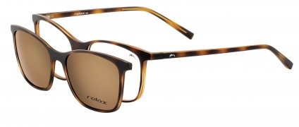 Doprovodný obrázek