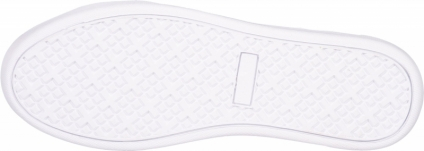 Doprovodný obrázek