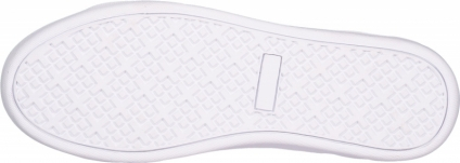 Doprovodný obrázek