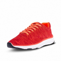 Doprovodný obrázek