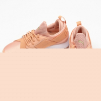 Doprovodný obrázek