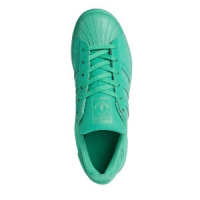 Doprovodný obrázek