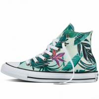 Doprovodný obrázek